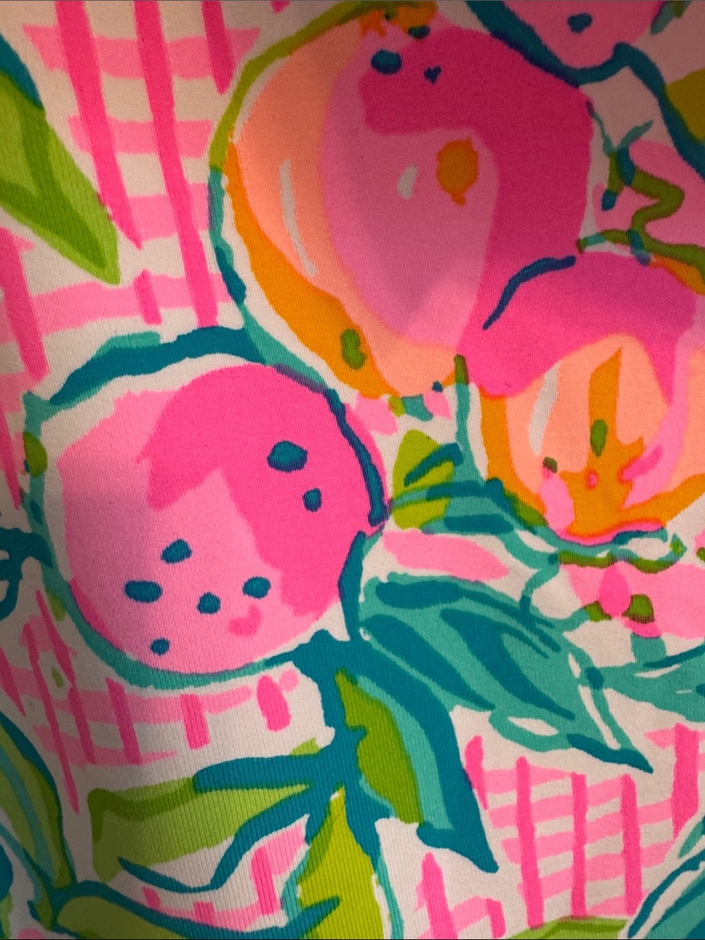 Fiesta One Piece Don’t Stop Beleafing Lilly Pulitzer bathensuit - Picture 4 of 5